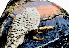 Snow Owl On Tree Limb With